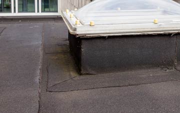 disadvantages of Warrenby flat roofs
