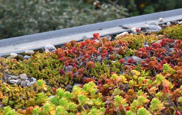 the cost of Warrenby green roof installation