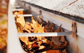 Warrenby gutter cleaning companies