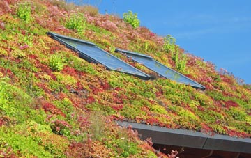 Warrenby living roof systems