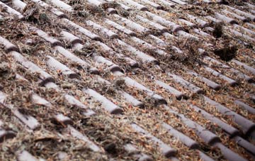 Warrenby roof cleaning companies