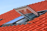 Warrenby roof window